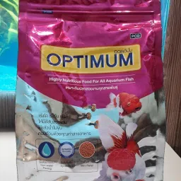 OPTIMUM Highly Nutritious Natural Fish food Shrimp 0.5 kg Dry Adult, New Born, Senior, Young Fish Food-image-4