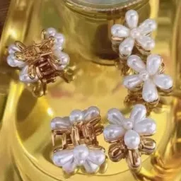 DN Creation Set of 4 Embellished Claw Clip-36
