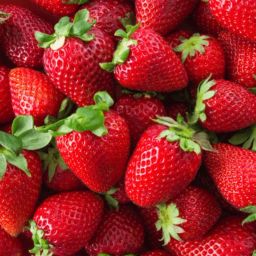 Strawberry Hybrid Fruit Seed-98