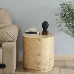 casacraft from pepperfry Jolanta Oak Burl Veneer Small End Table in Natural finish-picture-37
