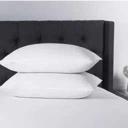 LUXURY Polyester Fibre Solid Sleeping Pillow Pack of 2-image-20