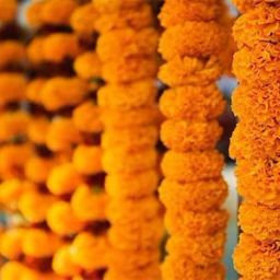Yellow Marigold Artificial Flower-image-97