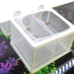 Aquarium Fish Breeding Box Floating Tank with Mesh Panels Aquarium Tool-image-77