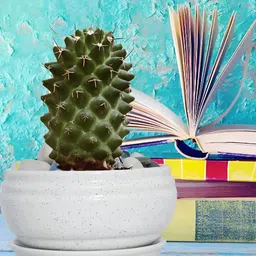 LASAKI White Textured Ceramic Planter With Tray Plate-3