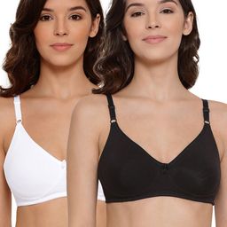 LYRA Pack Of 2 Combed Cotton Seamless Moulded Encircled Bra-image-57