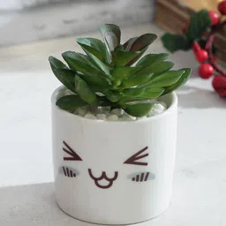 TAYHAA White & Green Artificial Succulent Plant with Pot-13
