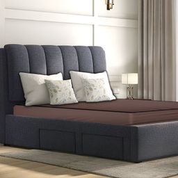 Stylista Brown Cotton Water Resistant Fitted Mattress Protector-image-33