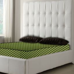 Stylista Green & Beige Cotton Water Resistant Elastic Strap Queen Mattress Protector-image-33