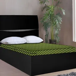 Stylista Green Cotton Water Resistant Elastic Strap Single Size Mattress Protector-picture-13