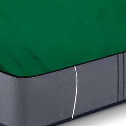 Stylista Green Cotton Water Resistant Elastic Strap Single Mattress Protector-picture-13