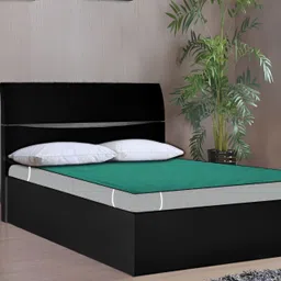 Stylista Green Cotton Water Resistant Elastic Strap Single Mattress Protector-picture-15