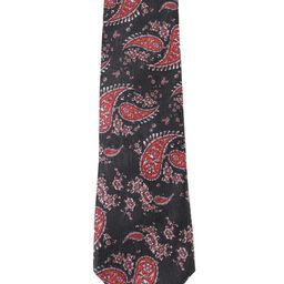 Alvaro Castagnino Men Maroon & Black Printed Skinny Tie-image-100