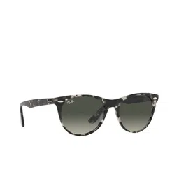 Ray-Ban Unisex Lens & Oval Sunglasses with UV Protected Lens 8056597462822-29