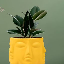 LASAKI Vivan Yellow Textured Ceramic Planter-image-91