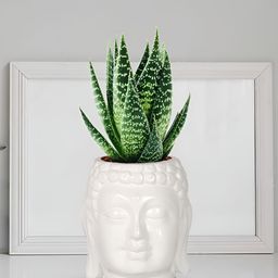 LASAKI White Buddha Textured Ceramic Planter-image-80