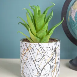 MARKET99 Grey & Green Fake Aloe Vera Desktop Planter-46