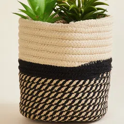 Home Centre Black & Beige Braided Polypropylene Floor Planter-image-20