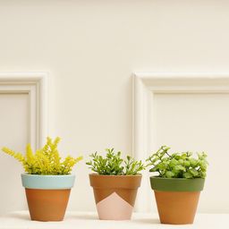PUREZENTO Blue & Brown 3 Pieces Terracotta Planters-image-60