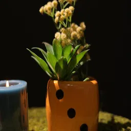 The Decor Mart Orange Textured Ceramic Dice Planter image 2