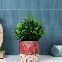 TAYHAA Red & White Printed Ceramic Planter-48