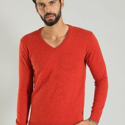 Indian Terrain V-Neck Sweater-image-84