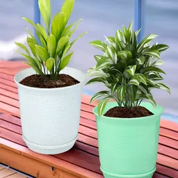 Kuber Industries  White & Green 2 Pieces Marble Finish Planters With Tray-picture-34