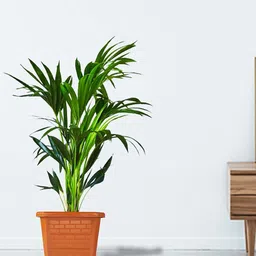 TRUSTBASKET Earth Box Brown 6 Pieces Textured Planters-23