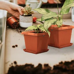 TRUSTBASKET Brown 3 Pieces Square Planter with Saucer-image-10