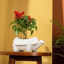 TRUSTBASKET White Set Of 3 Textured Tortoise-Shaped Planters-37