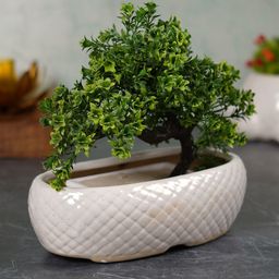 CDI White Textured Rectangular Shaped Ceramic Planter-6