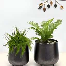 Homesake Silver  Toned & White 2 Pieces Textured Metal Planters With Holder-1
