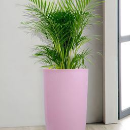 Kuber Industries Marble Emerald Pink Lightweight Planter with Tray-56