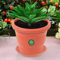 TRUSTBASKET  3 Pcs Brown Brand Logo Detailing Planter Saucers-image-48