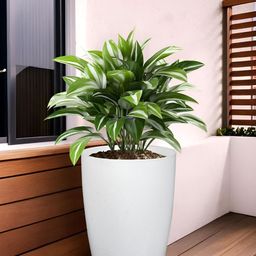 Kuber Industries White Flower Planters-51