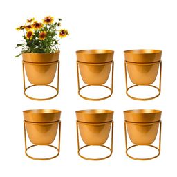 Kuber Industries 6-Pcs Green Metal Planter with holder-27