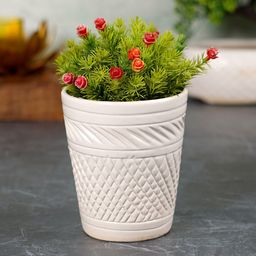 CDI White Textured Conical Shaped Ceramic Planter-30