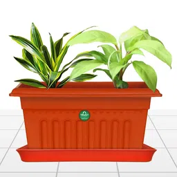 TRUSTBASKET 6-Pcs Brown Square Saucers Planters-image-77