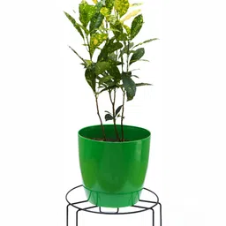 appeasy 6-Pcs Black Round Metal Planter Stands-image-65