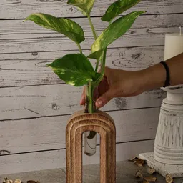 The Decor Mart Solid Testube Planter-46