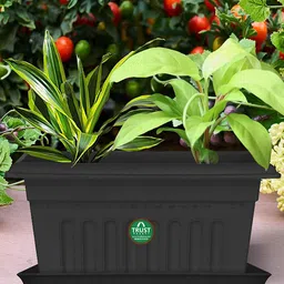 TRUSTBASKET 3 Pcs Black Planter Stand-5