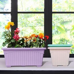 Kuber Industries Pink & Green 3 Pieces Marble Finish Planters-65