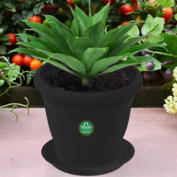 TRUSTBASKET 12 Pcs Black Brand Logo Detailing Planter Saucers-3