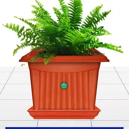 TRUSTBASKET 3 Pcs Brown Planter Saucers-image-36