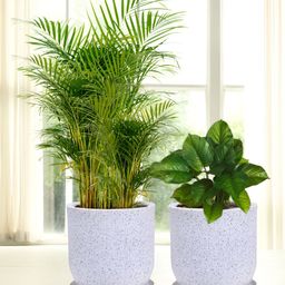 Kuber Industries Marble Jaguar 2 Pieces White Planter with Tray-image-15