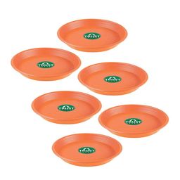 TRUSTBASKET 6 Pcs Brown Brand Logo Detailing Planter Saucers-29