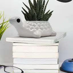 Crazy Sutra White 2 Pieces Ceramic Planters-56