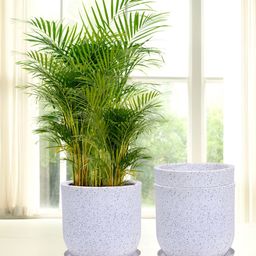Kuber Industries Marble Jaguar White 3 Pieces Planter with Tray-50