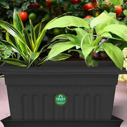 TRUSTBASKET 12 Pcs Black Brand Logo Detailing Planter Saucers-image-30