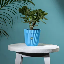 TRUSTBASKET Blue Textured Planter-41