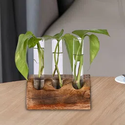 appeasy Brown & Transparent 3-Pcs Test Tube Planters With Wooden Stand-40